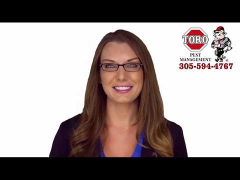 Affordable Pest Control in Miami Dade - Toro Pest 305-594-4767 Affordable Pest Control in Miami Dade - Toro Pest 305-594-4767
