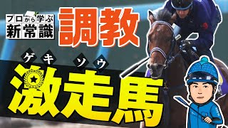 【調教の見方】プロが激走馬の見極め方を伝授！元同僚の獣医師と語る調教新常識！【競馬予想】