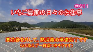 寒冷紗を外して、熱消毒の準備完了です（とりあえず一段落つきそうです）　いちご農家の日々のお仕事　＃６１１