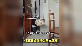 武汉理工大学通报学生虐猫事件：学生已作检讨，现予以退学！