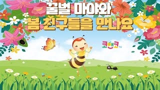 2024. 4월 코앤코 송 ㅣ꿀벌 마야와 봄 친구들을 만나요