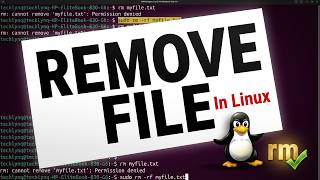 Can’t Delete Files in Linux? Fix It Using rm Command
