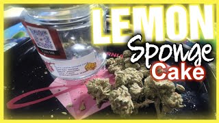 JK DISTRO 🍋 Lemon Sponge Cake THCA Flower Review | Zesty, Potent \u0026 Aromatic! 🌿✨