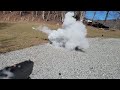 shooting a 2l full of baby powder at 80psi with a byrna sd. shadow defensive holster