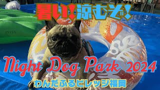 【Night Dog Park 2024】暑い！涼むぞ！初めての浮き輪でドボン笑