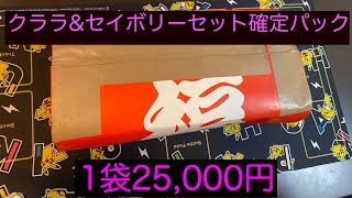 【ポケカ】クララ＆セイボリーセット確定パック開封してみた