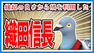 【羽鳥ぽぽぽ】鳩と織田信長について【第268羽】