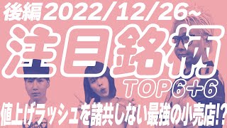 【株Tube#389】2022年12月26日～の注目銘柄TOP6+6(後編)【毎週日曜更新】