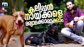 കലിപ്പന്‍ നായ്ക്കളെ മര്യാദക്കാരാക്കാം | Dog Aggression | Dog Training | Pets Care | Mathrubhumi News