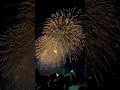 足立の花火 フィナーレ finale of adachi fireworks in tokyo 2023