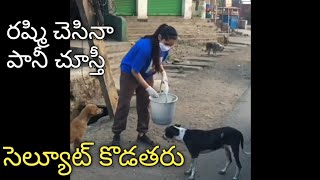 Jabradasth Rashmi Feeding street dogs With love | Dhee Rashmi