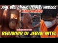 JUAL BAYI ORANG UTAN DI MEDSOS BERAKHIR DIJEBAK INTEL