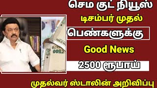 🔴 டிசம்பர் முதல் பெண்களுக்கு 2500 ரூபாய் முதல்வர் ஸ்டாலின் அறிவிப்பு