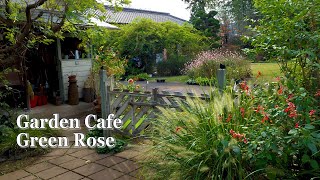 SAITAMA【Private Residence】 Garden Cafe Green Rose. Ms.Yoshie Saito's Residence in Autumn. #宿根草 #4K