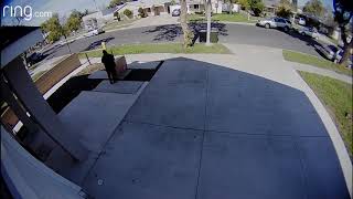 Deep Sentinel: Preventing Porch Pirates
