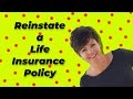 What should you do if your life insurance lapses?