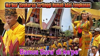 Rambu tuka' Ma'Bua'||Syukuran Tertinggi Tongkonan Banua Sura' di Ke'pe'