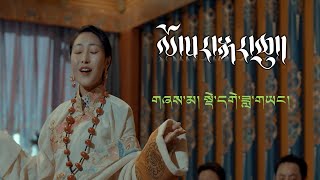 New Tibetan song 2023 ࿉ བོད་གཞས་གསར་པ་༢༠༢༣༼ལོ་སར་སྐར་ཆུ་།༽གཞས་མ། སྡེ་དགེ་ཟླ་གཡང། ࿉ Dege Dayang 2023