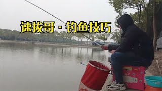 速拔哥钓鱼技巧视频，钓鲫鱼天冷小药多加点，味道大来鱼快钓的爽