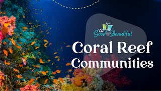 Coral Reef Communities | Marine Biology | The Good and the Beautiful