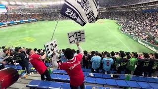 2024 東京ヤクルトスワローズ 試合前1-9 応援団真後ろ in 東京ドーム 20240430