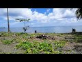 Parian, Narra, Palawan,Philippines