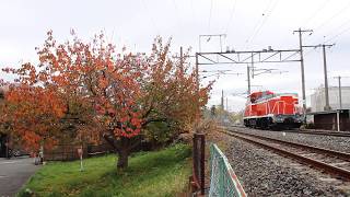 東北本線 DE10形 単9528レ 盛岡～仙北町 2019年11月11日