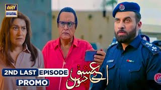 New! Aye Ishq e Junoon 2nd Last Episode 28 | Promo | Ushna Shah | Sheheryar Munawar | ARY Digital