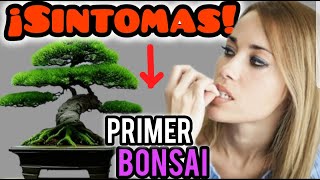 ⚠️TU PRIMER BONSAI ???? ESTO TE ESTA PASANDO!!!!!!!