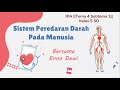 PEREDARAN DARAH MANUSIA || IPA || TEMA 4 SUBTEMA 1|| KELAS 5 SD