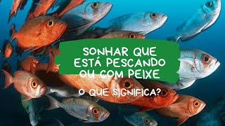 SONHAR QUE ESTÁ PESCANDO OU COM PEIXE