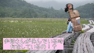 【尾瀬】歩荷さんは休憩している時何をしているのか？