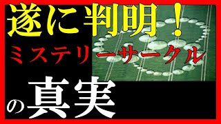 遂に真実が判明！！ミステリーサークル  #宇宙 #世界の不思議 #オカルト #雑学 #不思議 #ミステリー #解説 #摩訶不思議 #歴史 #科学 #UFO #未確認飛行物体