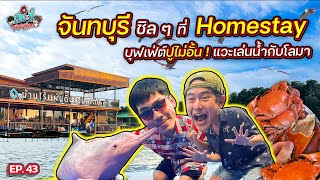 ทริป “จันทบุรี” โคตรคุ้ม นอนโฮมสเตย์ กินบุฟเฟ่ต์ปู แวะเล่นน้ำกับโลมา | เฮียกับตี๋หนีเมียเที่ยว EP.43