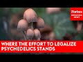 Where the Effort To Legalize Psychedelics Stands
