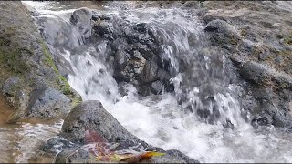 Relaxing River Sounds - No Birds - Natural White Noise - Relax, Sleep, Study - Nature Video