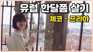 브이록 | 첫 동유럽여행기 | 동유럽 | 체코 | 프라하 | 시작은 꼴레뇨