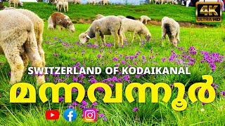 മന്നവന്നൂർ|MANNAVANNOOR| SWITZERLAND OF #kodaikanal #sheepfarming