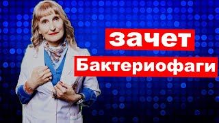 зачёт   Бактериофаги