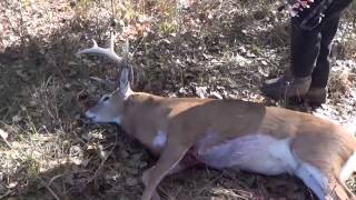 Jake wastes no time shooting his 2016 Kansas Buck