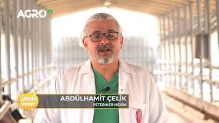 İç Anadolu Bölgesi Besicilik için Uygun Mudur / Uzman Görüşü - Agro TV