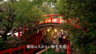 下鴨神社の御手洗祭り2017