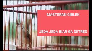 MASTERAN CIBLEK BREM / JEDA JEDA BIAR CEPAT MASUK