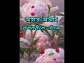 মানুষ অপরাধীকে খোঁজে short viral islamicvideo