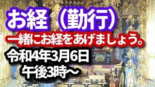 お経（勤行）ライブ配信　ご一緒にお経をあげましょう。―肆誓偈（重誓偈・三誓偈）を中心として―