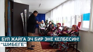 БУЛ ЖАЙГА ЭЧ БИР ЭНЕ КЕЛБЕСИН!//ШИБЕГЕ