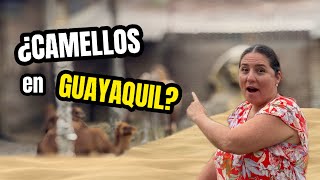 ¡No lo Vas a Creer! Camellos y Animales Increíbles en el Zoológico de Guayaquil 🇪🇨🐪❗️