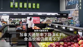 加拿大通胀率下降至6.3%，食品价格仍居高不下