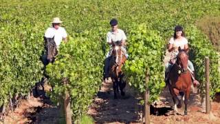 Lapostolle Residence Colchagua Valley