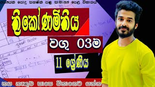 Thrikona mithiya | trigonometry | grade 10 | grade 10 | trigonometry in sinhala | ganitha papers ol